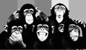 BUS FULLA MONKEYS